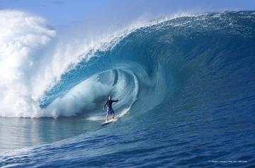 Surfer Profile The Hobgoods