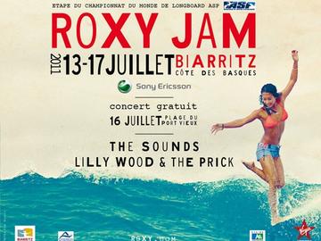 Surf Festivals in Biarritz Summer 2011